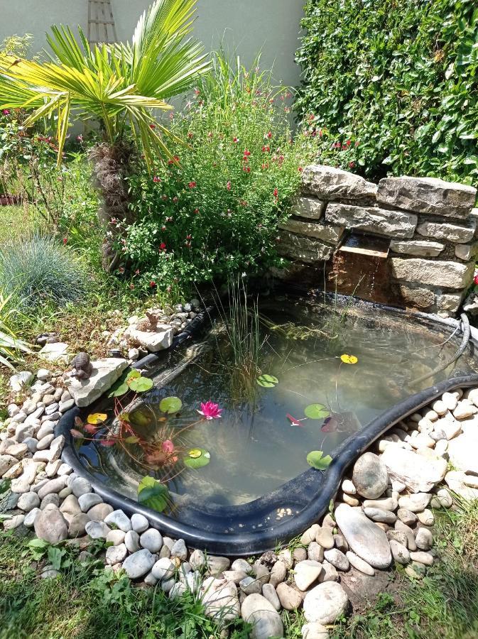 L'Albizia Gite Climatise St Maurice Saint-Maurice-en-Riviere Exterior foto