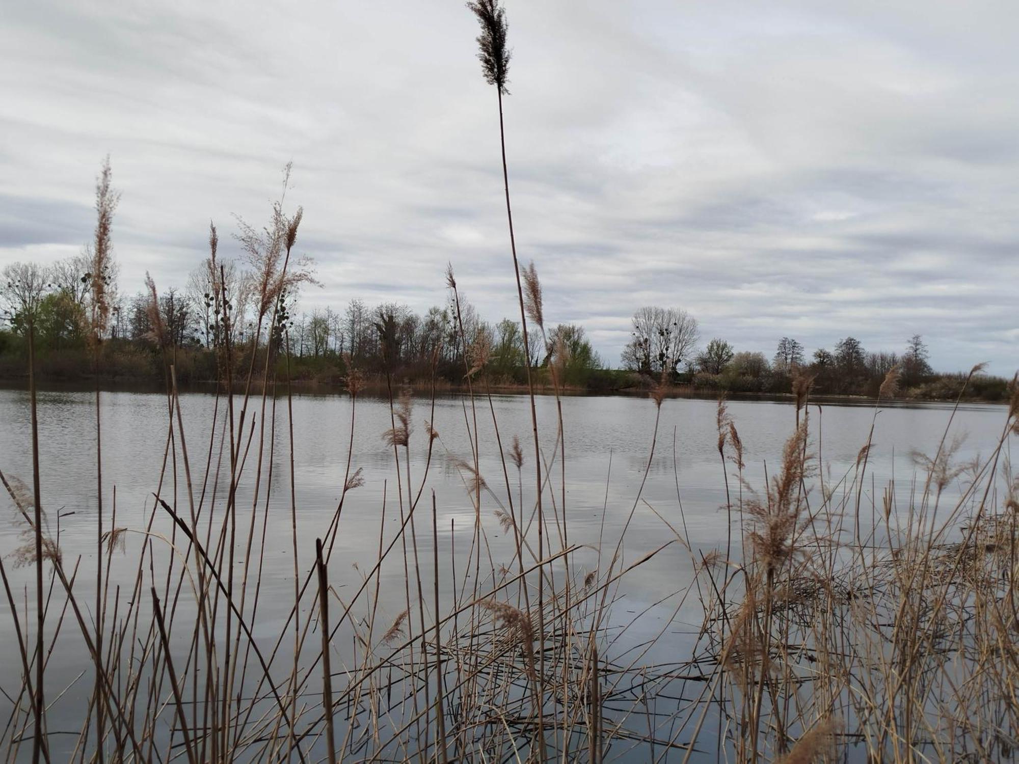 L'Albizia Gite Climatise St Maurice Saint-Maurice-en-Riviere Exterior foto